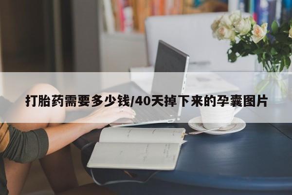 我想在网上买正品打胎药打胎药需要多少钱/40天掉下来的孕囊图片