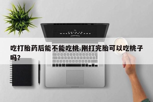 我想在网上买正品打胎药吃打胎药后能不能吃桃.刚打完胎可以吃桃子吗？